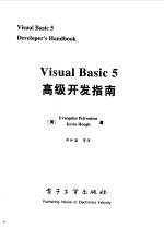 Visual Basic 5高级开发指南