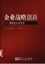 企业战略创新  管理文化的观点