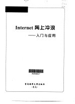 Internet网上冲浪  入门与应用