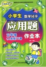 龙人新视点小学生应用题作业本  五年级  下  人教版