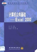 计算机公共基础 Excel 2000