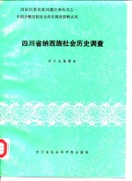 四川省纳西族社会历史调查