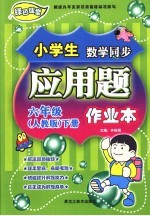 龙人新视点小学生应用题作业本  六年级  下  人教版