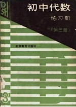 初中代数练习册  第3册