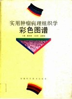 实用肿瘤病理组织学彩色图谱