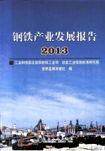 钢铁产业发展报告  2013