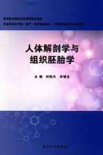 人体解剖学与组织胚胎学