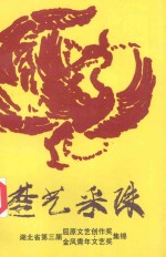 楚艺采珠  湖北省第三届屈原文艺创作奖、金凤青年文艺奖集锦