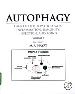 Autophagy cancer