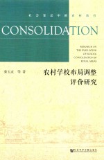 农村学校布局调整评价研究