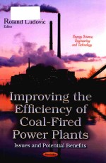 Improving the efficiency of coal-fired power plants : issues and potential benefits