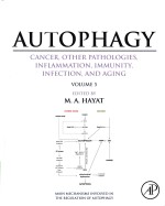 Autophagy cancer