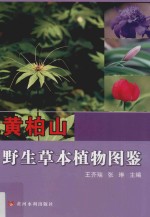 黄柏山野生草本植物图鉴