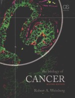 THE BIOLOGY OF CANCER SECOND EDITION