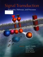 Signal transduction principles