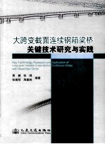 大跨变截面连续钢箱梁桥关键技术研究与实践