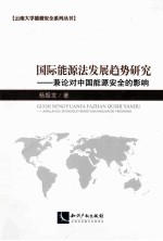 国际能源法发展趋势研究  兼论对中国能源安全的影响