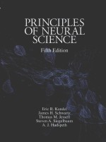 PRINCIPLES OF NEURAL SCIENCE FIFTH EDITION