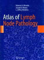 ATLAS OF LYMPH NODE PATHOLOGY