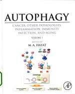 Autophagy cancer