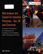 Risk analysis and control for industrial processes - gas