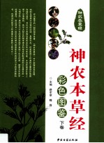 《神农本草经》彩色图鉴  下