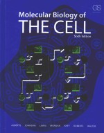 MOLECULAR BIOLOGY OF THE CELL SIXHTH EDITION