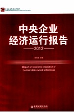 中央企业经济运行报告  2012