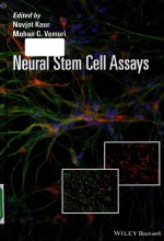 Neural stem cell assays