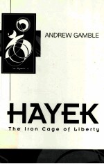 ACCOUNTING:THE IRON CAGE OF LIBERTY