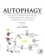 Autophagy cancer