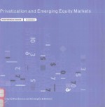 PRIVATIZATION AND EMERGING EQUITY MARKETS