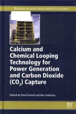 Calcium and chemical looping technology for power generation and carbon dioxide (CO2) capture