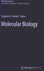 MOLECULAR BIOLOGY