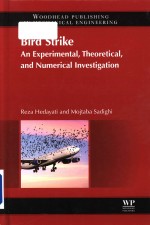 Bird strike : an experimental