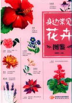 身边常见花卉图鉴