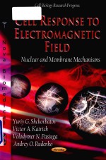 Cell response to electromagnetic field : nuclear and membrane mechanisms