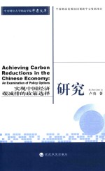 Achieving carbon reductions in the Chinese economy an examination of policy options