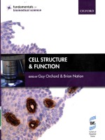 Cell structure and function