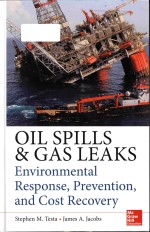 Oil spills and gas leaks : environmental response