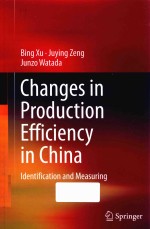 CHANGES IN PRODUCTION EFFICIENCY IN CHINA  IDENTIFICATION AND MEASURING