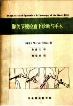 膝关节镜检查下诊断与手术