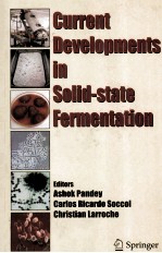 Current Developments in Solid-state Fermentation