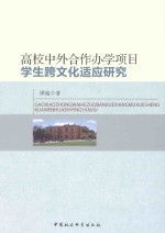 高校中外合作办学项目学生跨文化适应研究