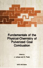 Fundamentals of the Physical-Chemistry of Pulverized Coal Combustion