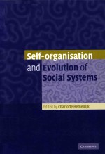 Self-organisation and evolution of social systems