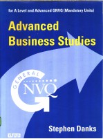 Advanced Business Studies for A Level and Advanced GNVQ(Mandatory Units)