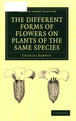 The different forms of flowers on plants of the same species