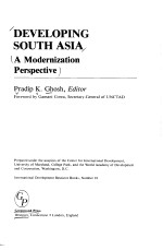 DEVELOPING SOUTH ASIA  A Modernization Perspective