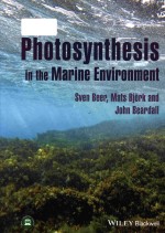 Photosynthesis in the marine environment